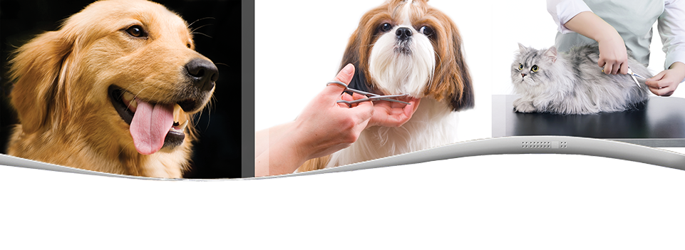 sharpening and repair company in the grooming industry